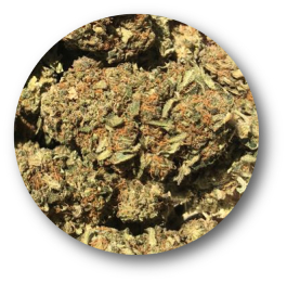 hemp flowers 0.2% THC